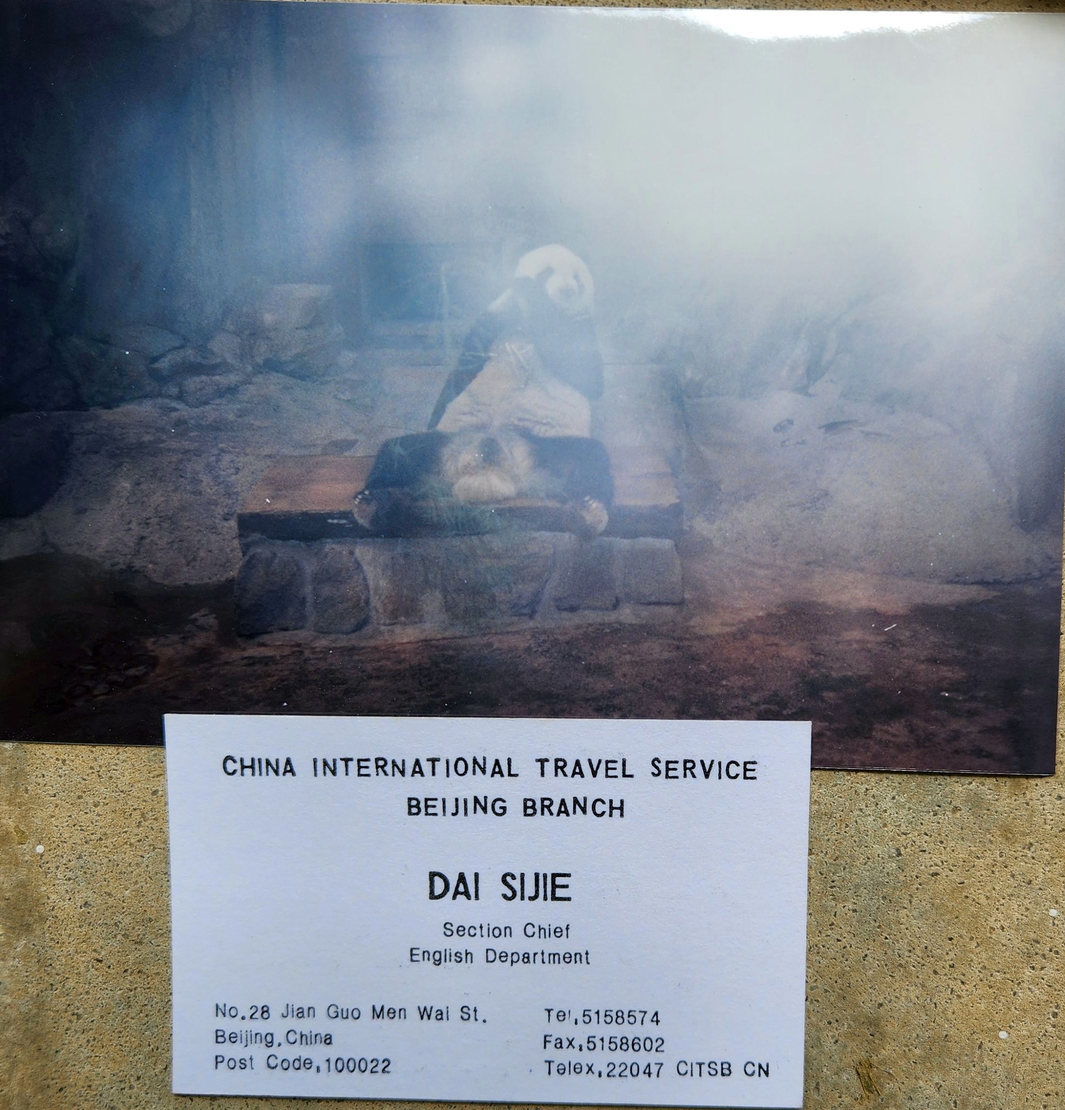 1993 Suzanna Travels to Asia