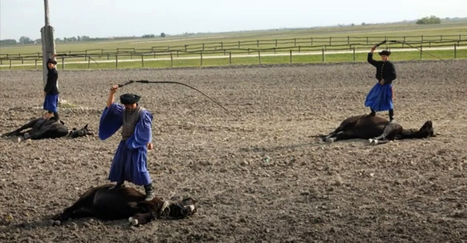 Kalocsa Equestrian Show