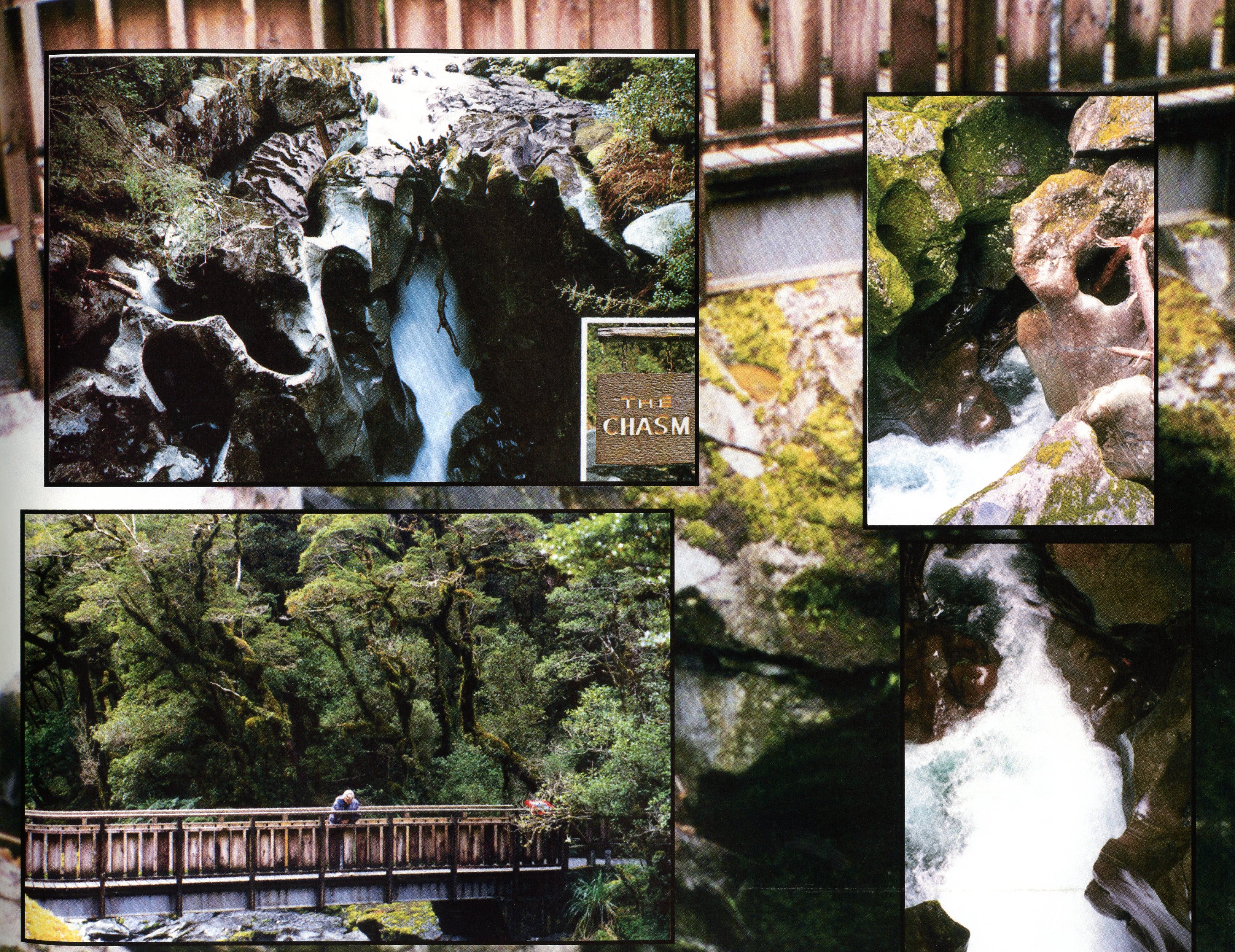 1999 Suzanna Travels to New Zealand