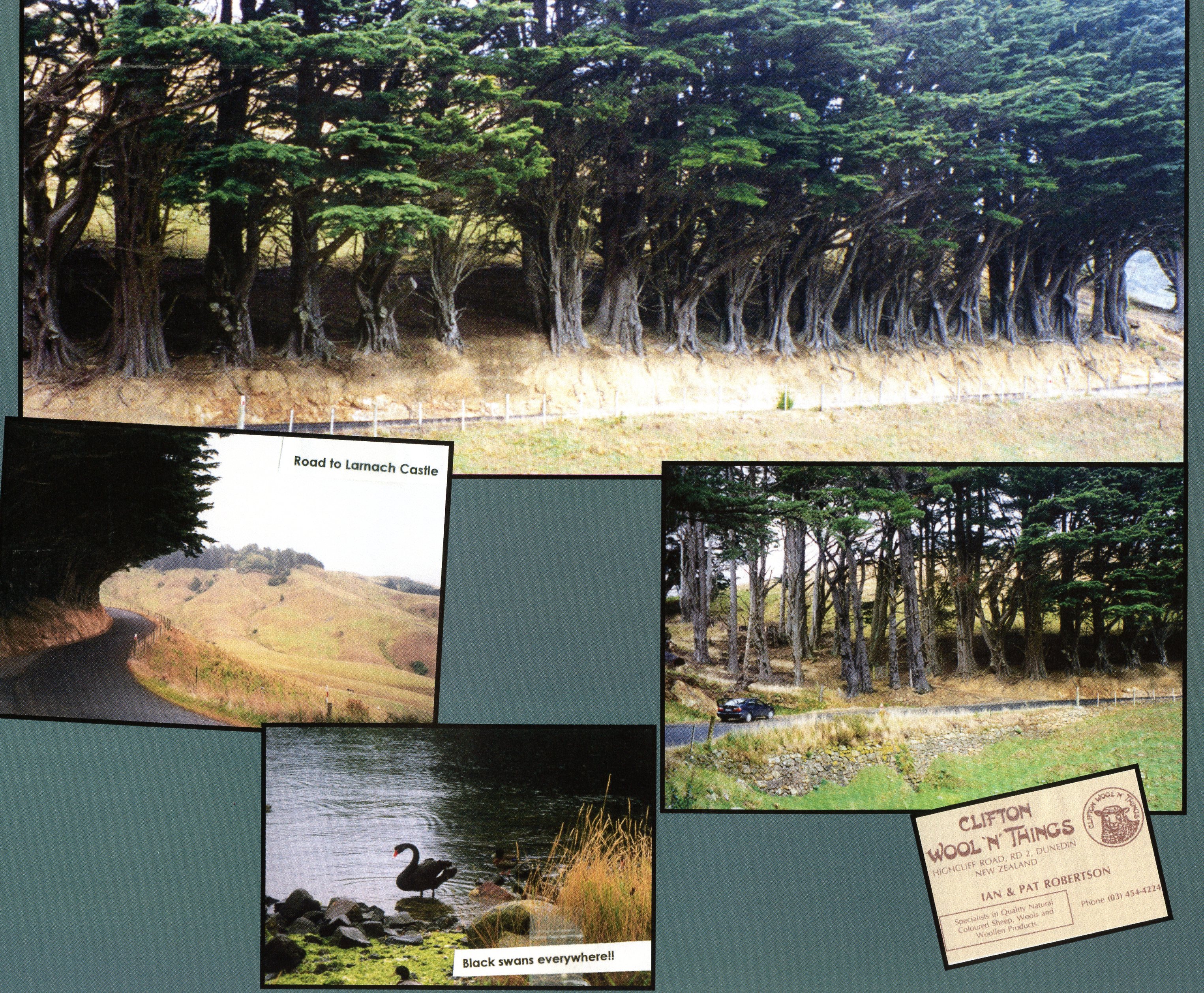 1999 Suzanna Travels to New Zealand