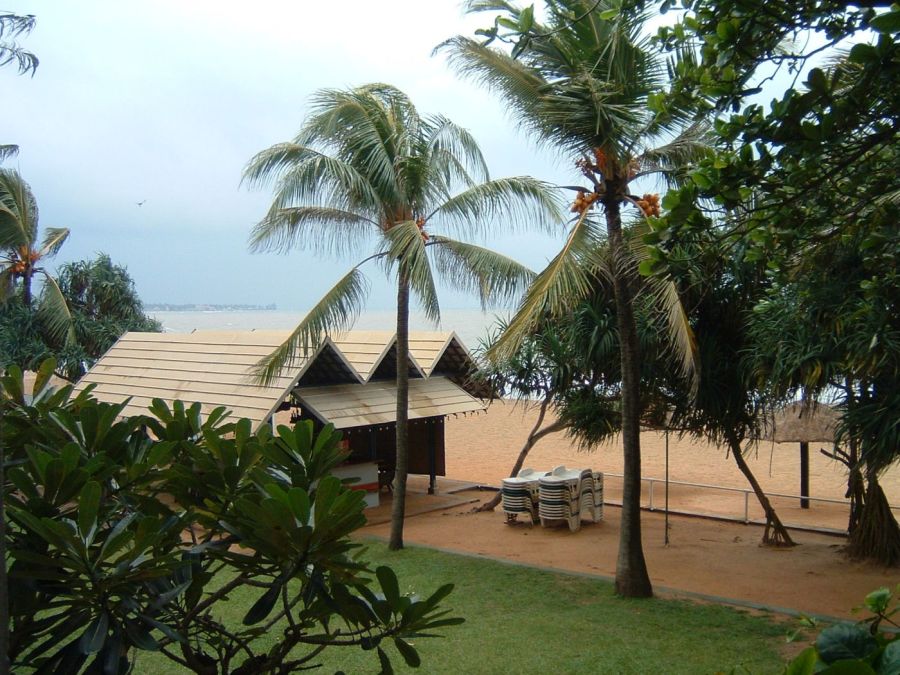 Suzanna Travels to Sri Lanka