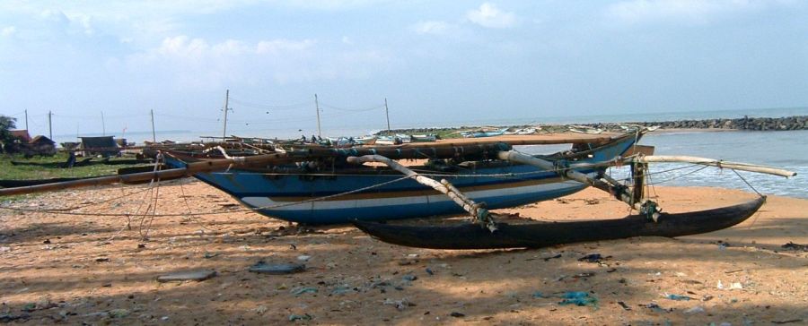 Suzanna Travels to Sri Lanka