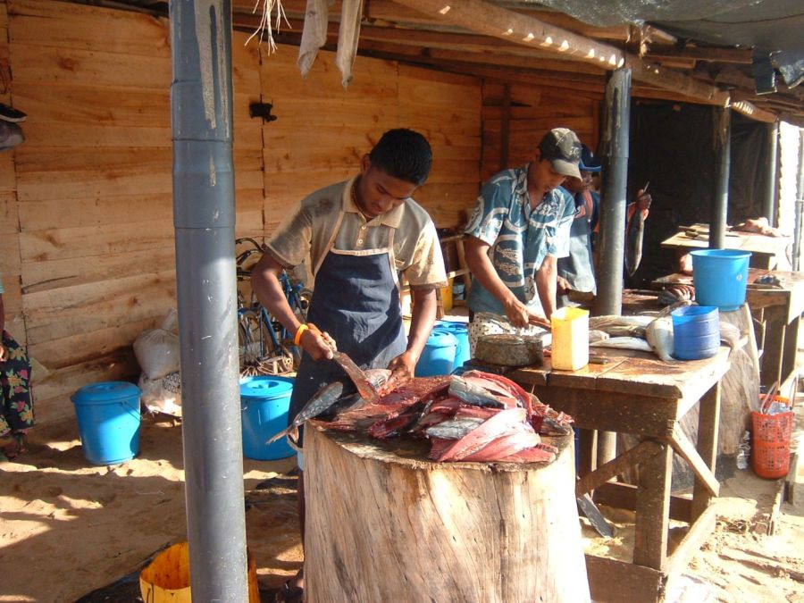 Suzanna Travels to Sri Lanka