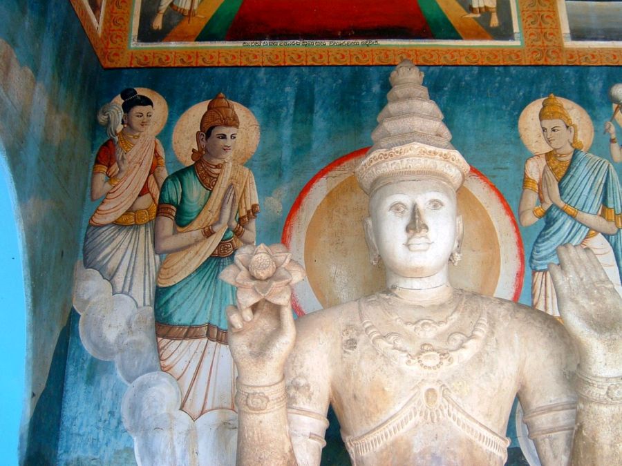 Suzanna Travels to Sri Lanka