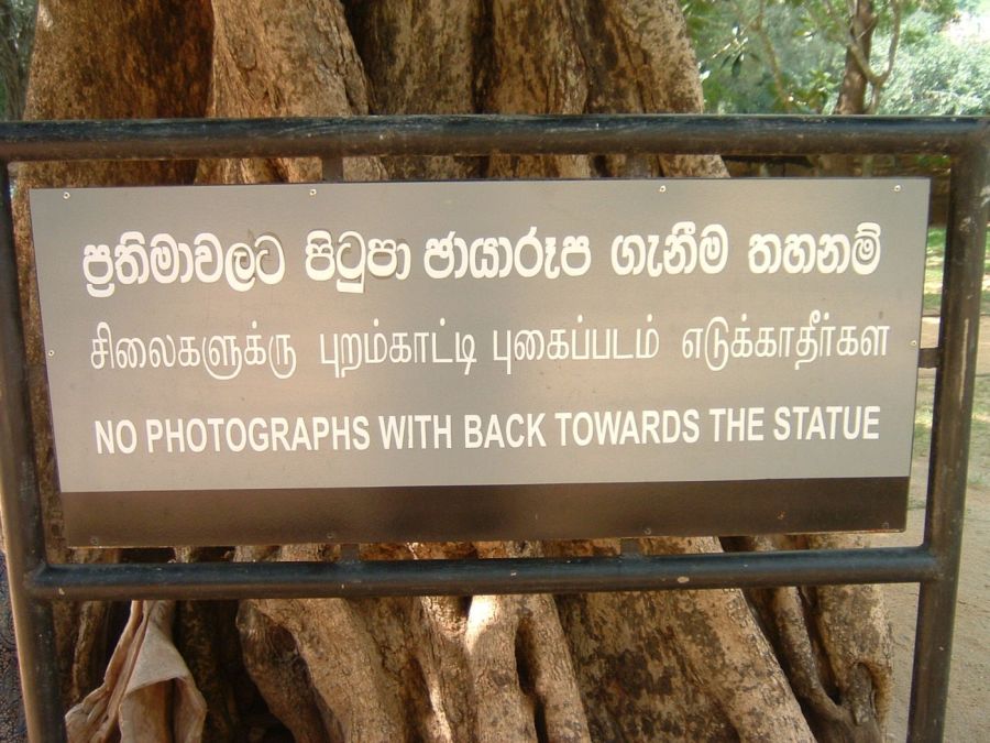 Suzanna Travels to Sri Lanka