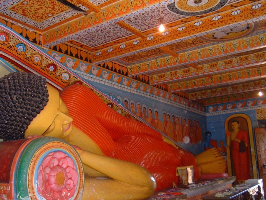 Suzanna Travels to Sri Lanka