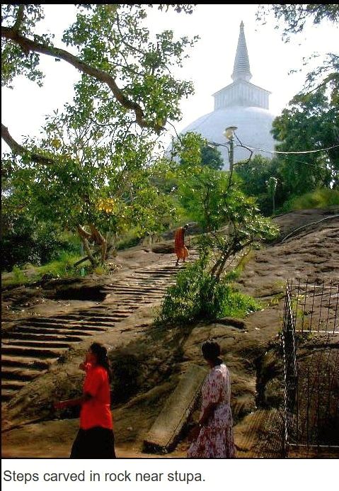 Suzanna Travels to Sri Lanka