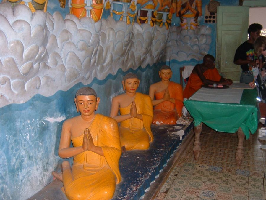 Suzanna Travels to Sri Lanka