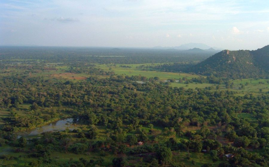 Suzanna Travels to Sri Lanka