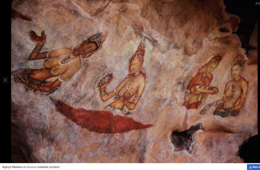 Suzanna Travels to Sri Lanka