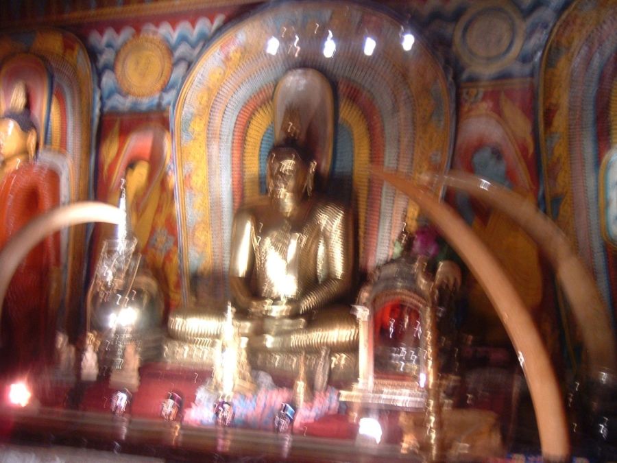 Suzanna Travels to Sri Lanka