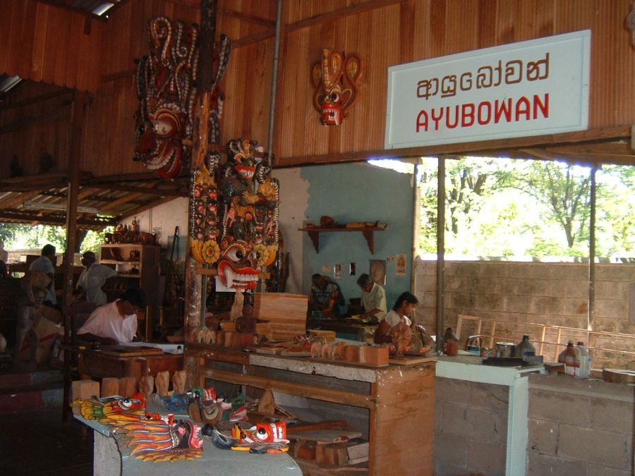 Suzanna Travels to Sri Lanka