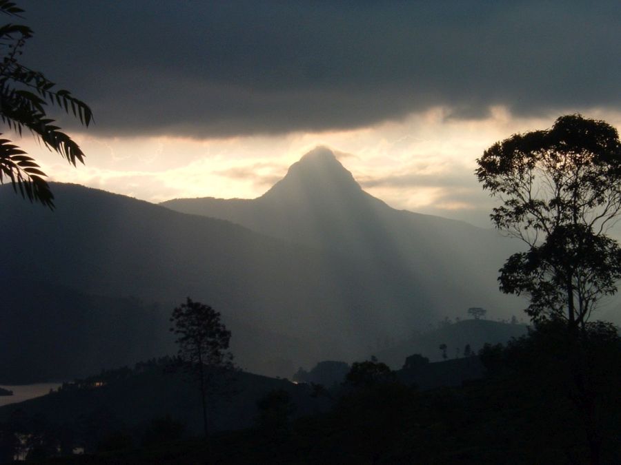 Suzanna Travels to Sri Lanka