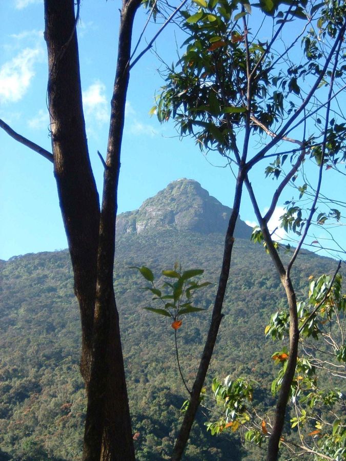 Suzanna Travels to Sri Lanka