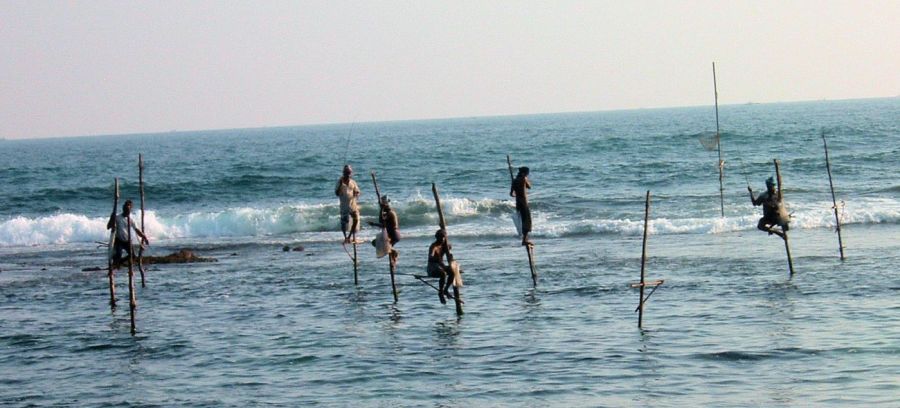 Suzanna Travels to Sri Lanka