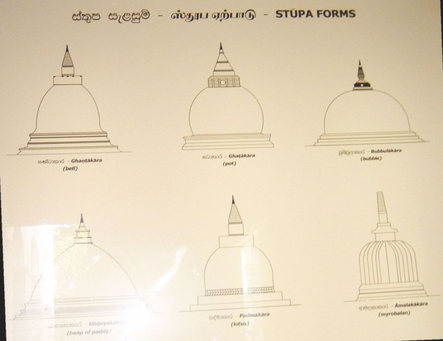 Suzanna Travels to Sri Lanka