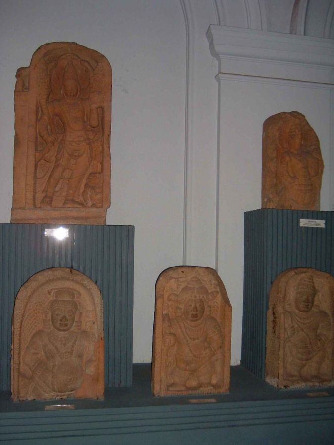 Suzanna Travels to Sri Lanka